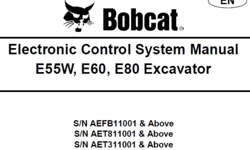 Bobcat E55W, E60, E80